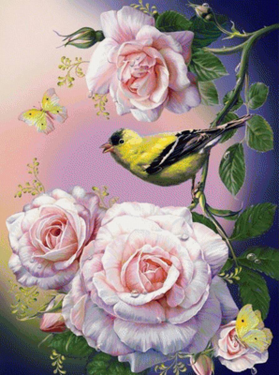 цветок и птица - роза, бабочки, цветок - предпросмотр