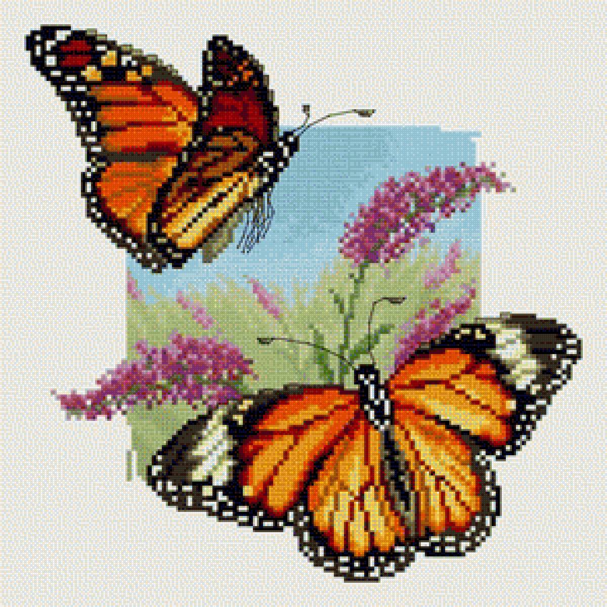 №1317647 - предпросмотр