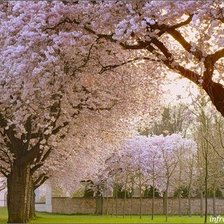 Схема вышивки «№1317818»