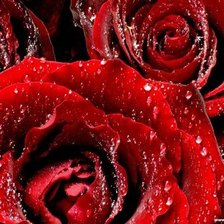 Схема вышивки «№1317823»