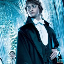 Схема вышивки «Гарри Потер»