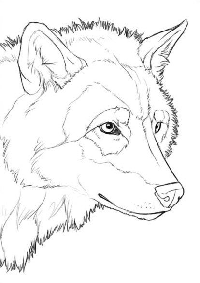 №1318150 - оригинал