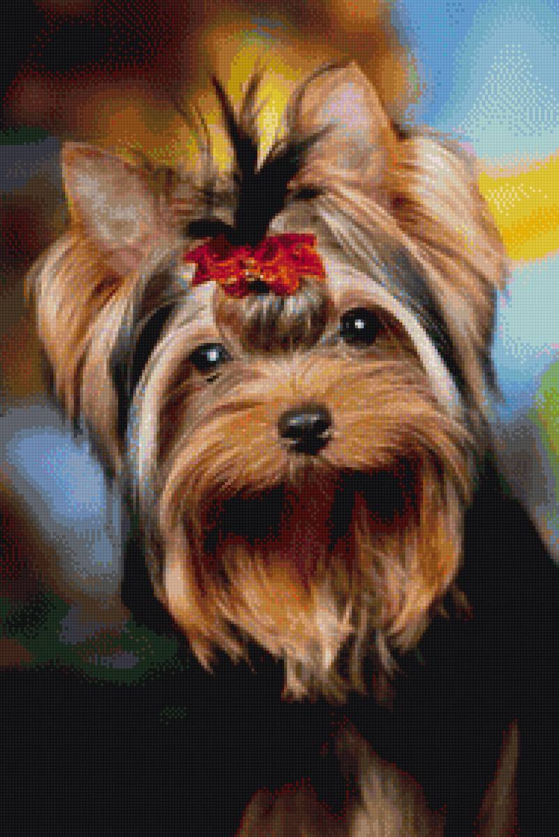 Йоркшерский терьер - йоркшерский терьер собака маленькая йорик домашние животные - предпросмотр