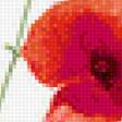 Предпросмотр схемы вышивки «Маки» (№1318943)