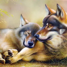 Схема вышивки «Семья волки»