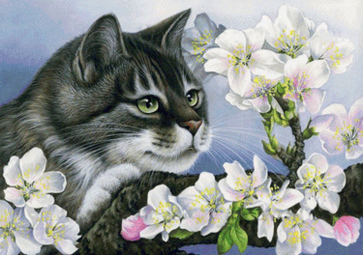 котик - коты, животные - предпросмотр