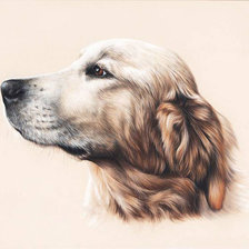 Схема вышивки «№1319552»