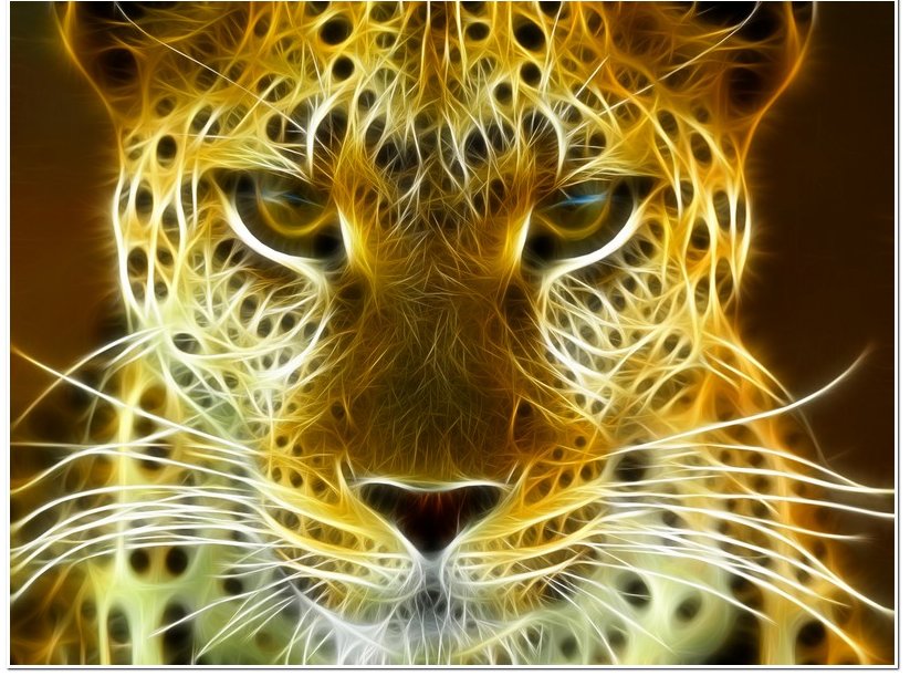 №1319554 - животные - оригинал