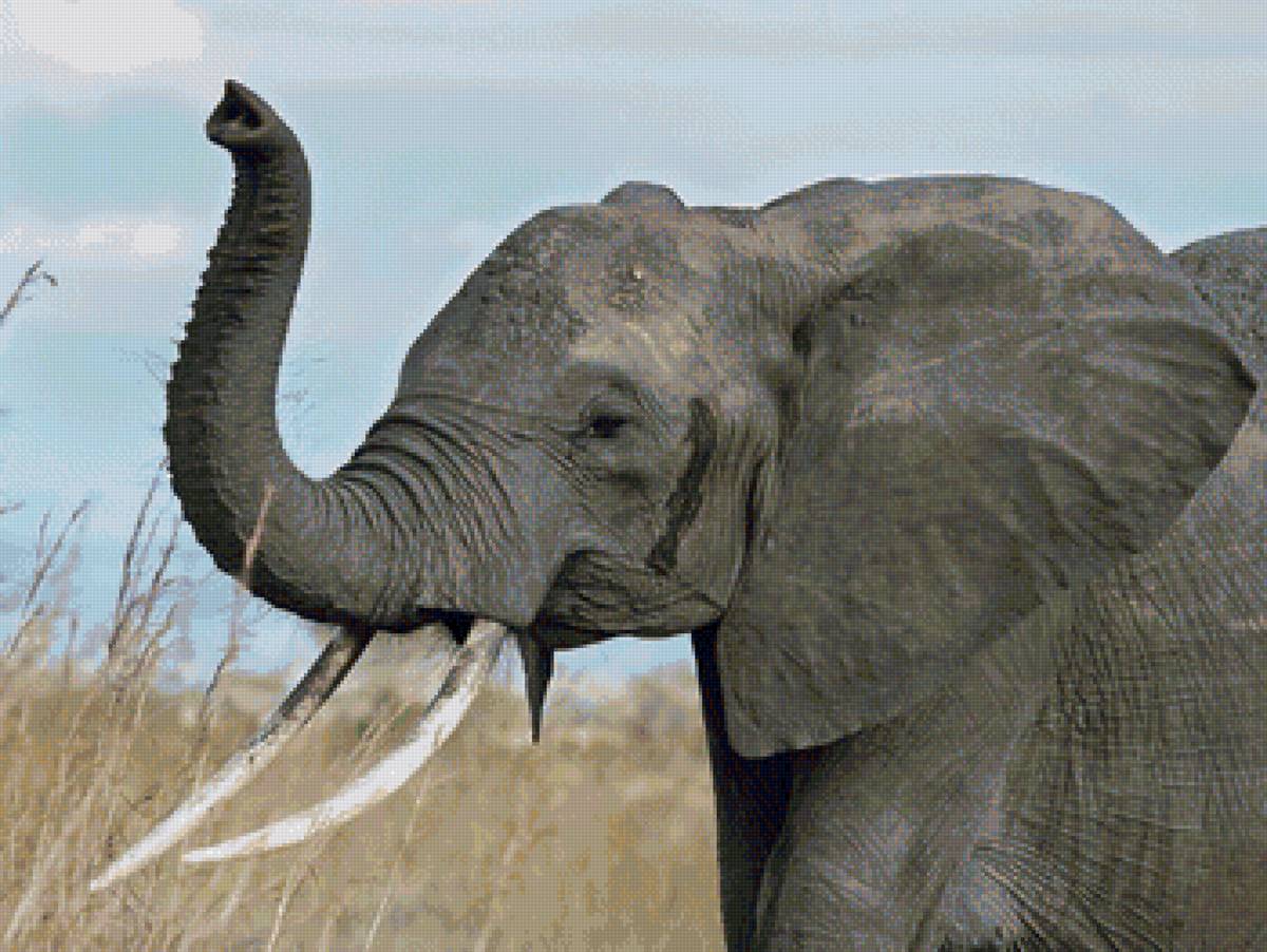 00025 - предпросмотр