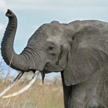 Схема вышивки «00025»