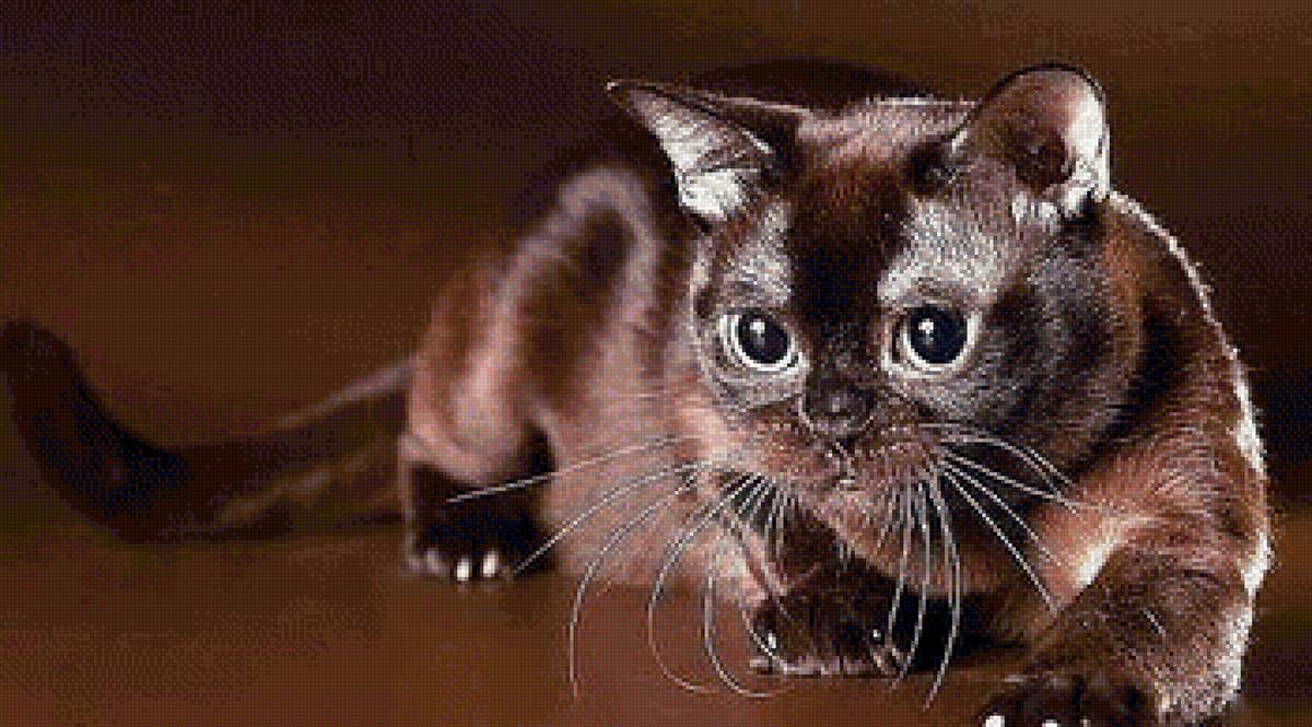 00028 - предпросмотр