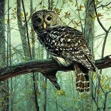 Схема вышивки «00029»