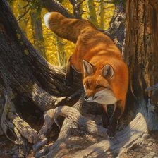 Схема вышивки «00032»