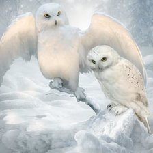 Схема вышивки «00033»