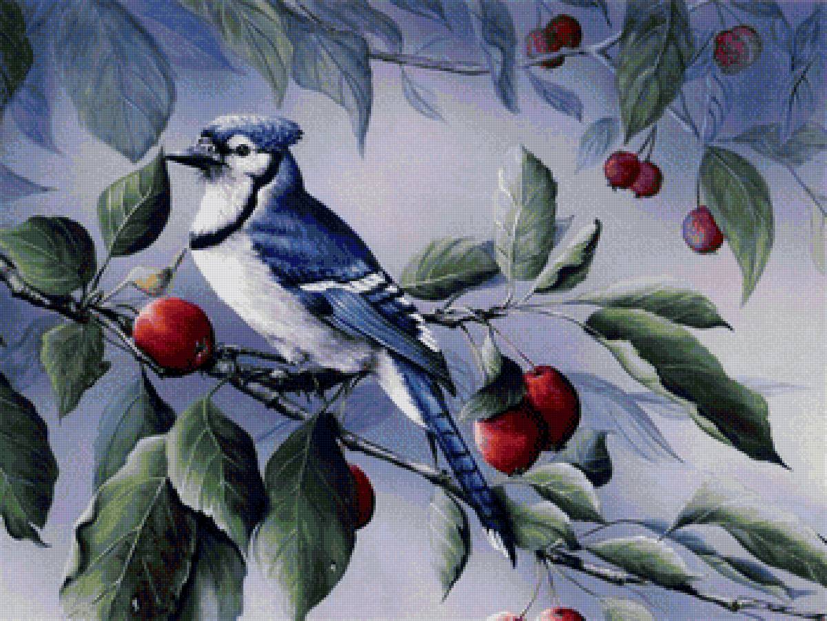 00038 - предпросмотр