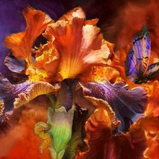 Схема вышивки «4556»