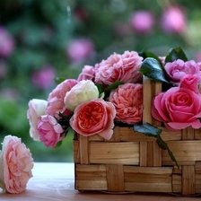 Схема вышивки «пионы»