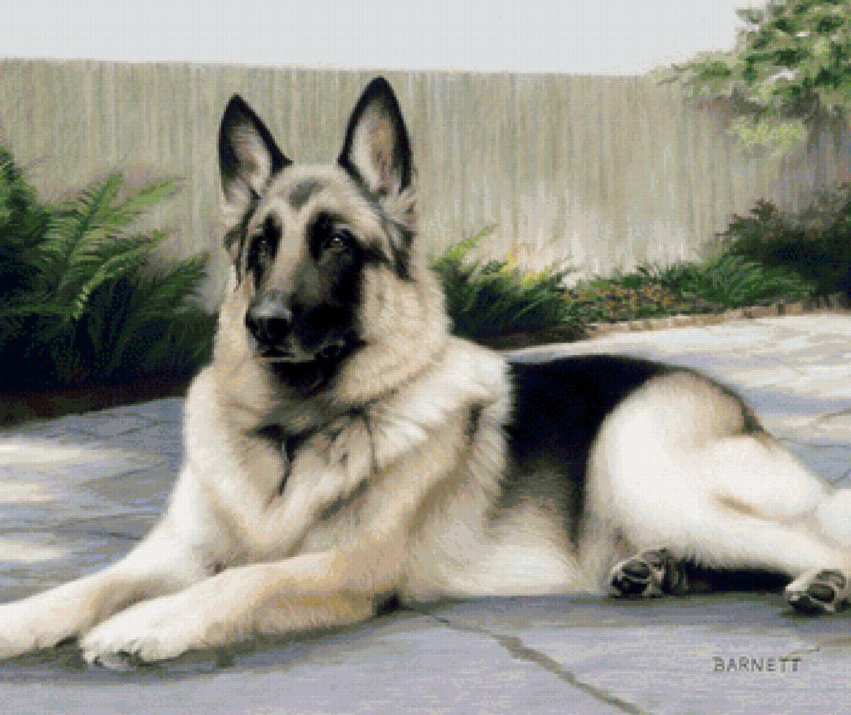 00041 - предпросмотр