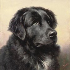 Схема вышивки «00043»