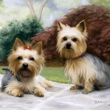 Схема вышивки «00044»