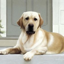 Схема вышивки «00045»