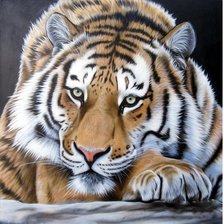 Схема вышивки «№1320691»