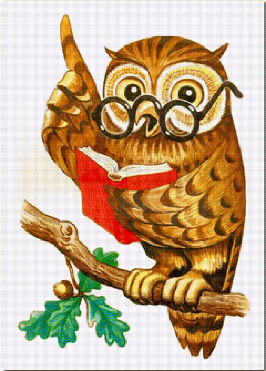 сова - совы, птицы, животные - предпросмотр