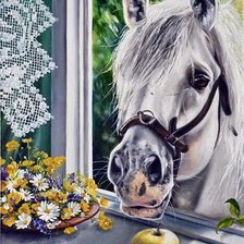 Схема вышивки «00052»