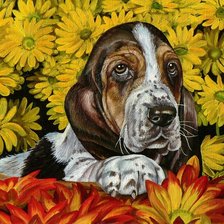 Схема вышивки «цветочный пес»