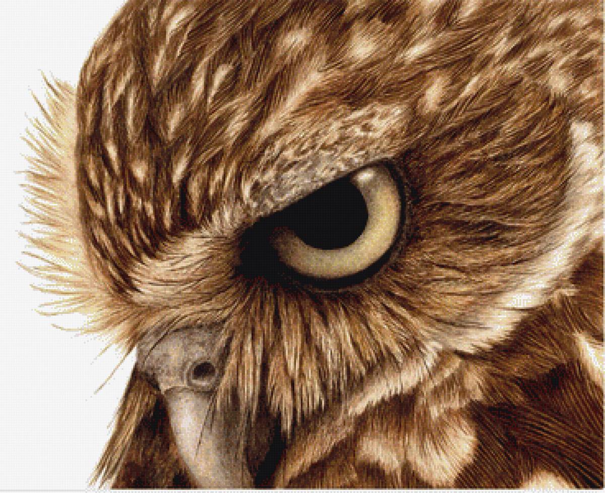 №1321018 - птицы, животные - предпросмотр