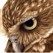 Схема вышивки «№1321018»