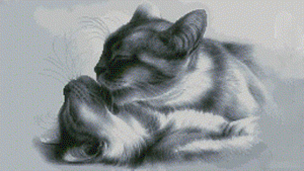 Кошкины ласки - предпросмотр