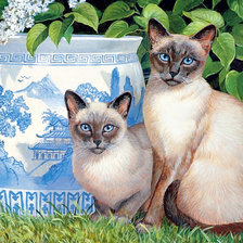 Схема вышивки «котики»