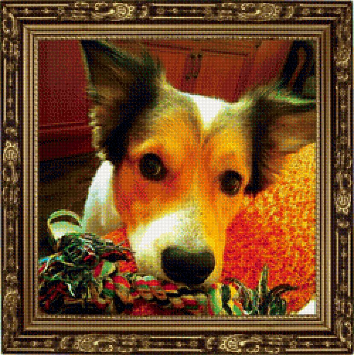 мой любимчик - животные - предпросмотр