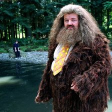 Схема вышивки «№1321374»