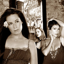 Схема вышивки «№1321429»