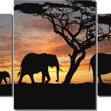 Схема вышивки «африка»