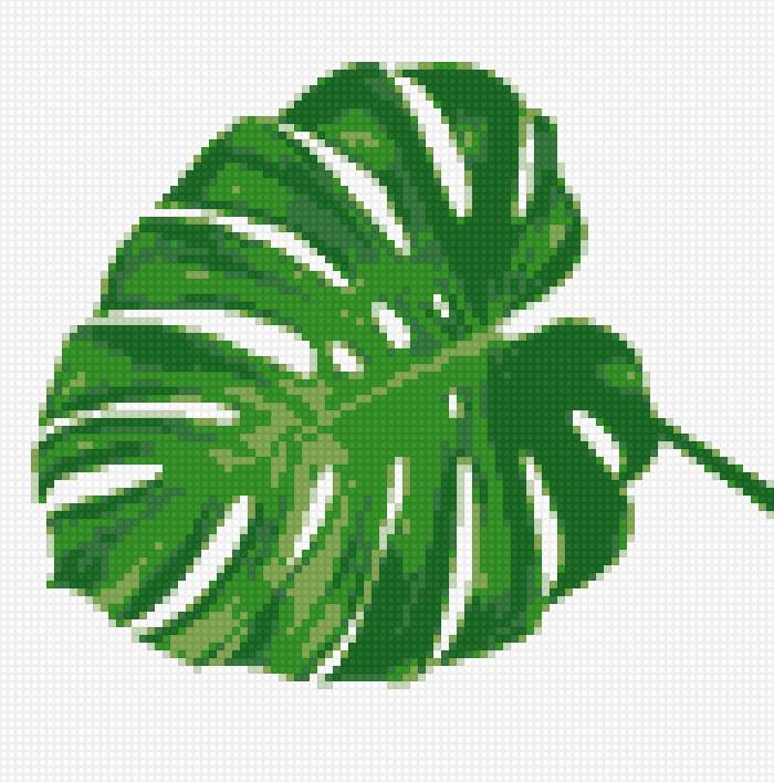 Лист монстеры - тропический лист, лист - предпросмотр