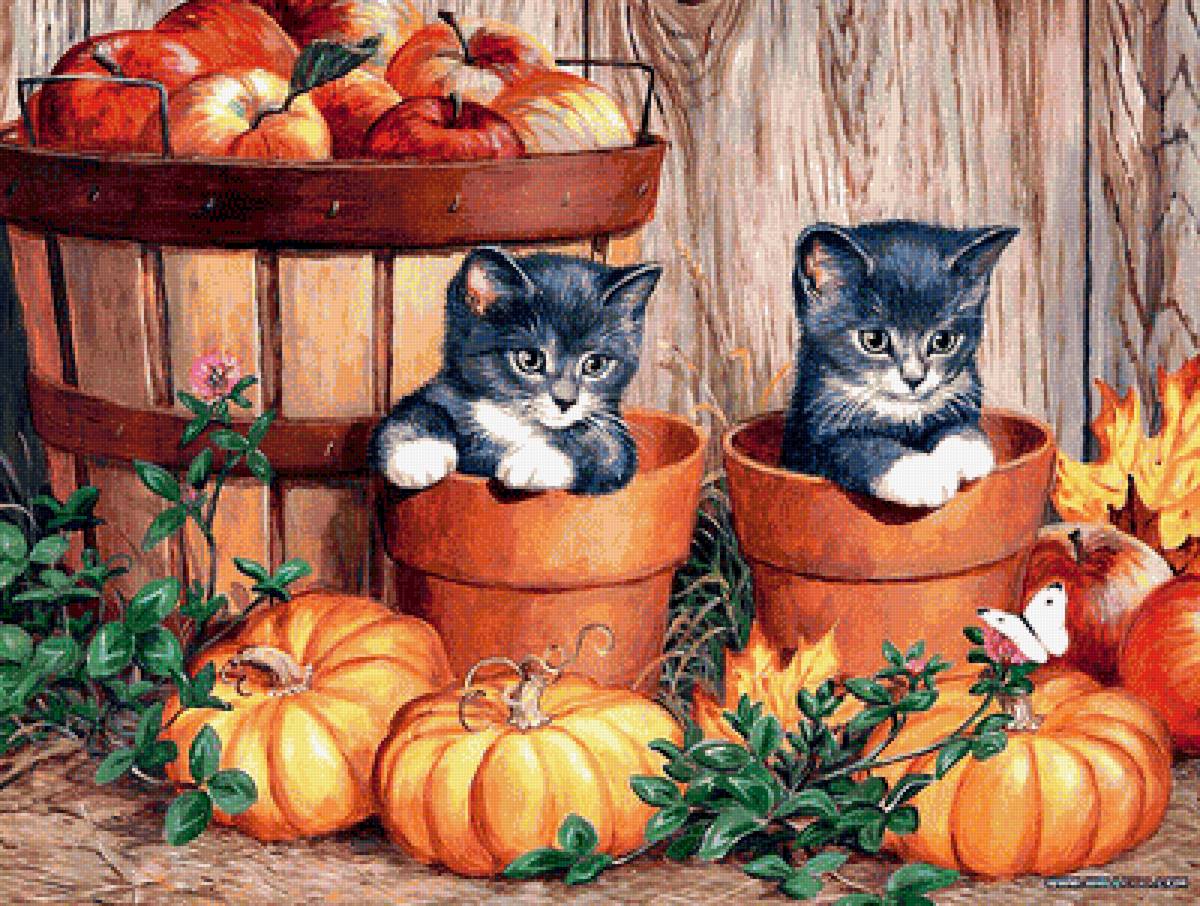 котятки - кот. яблоко. тыква. урожай - предпросмотр