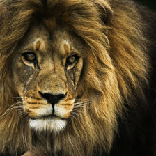 Схема вышивки «левушка»