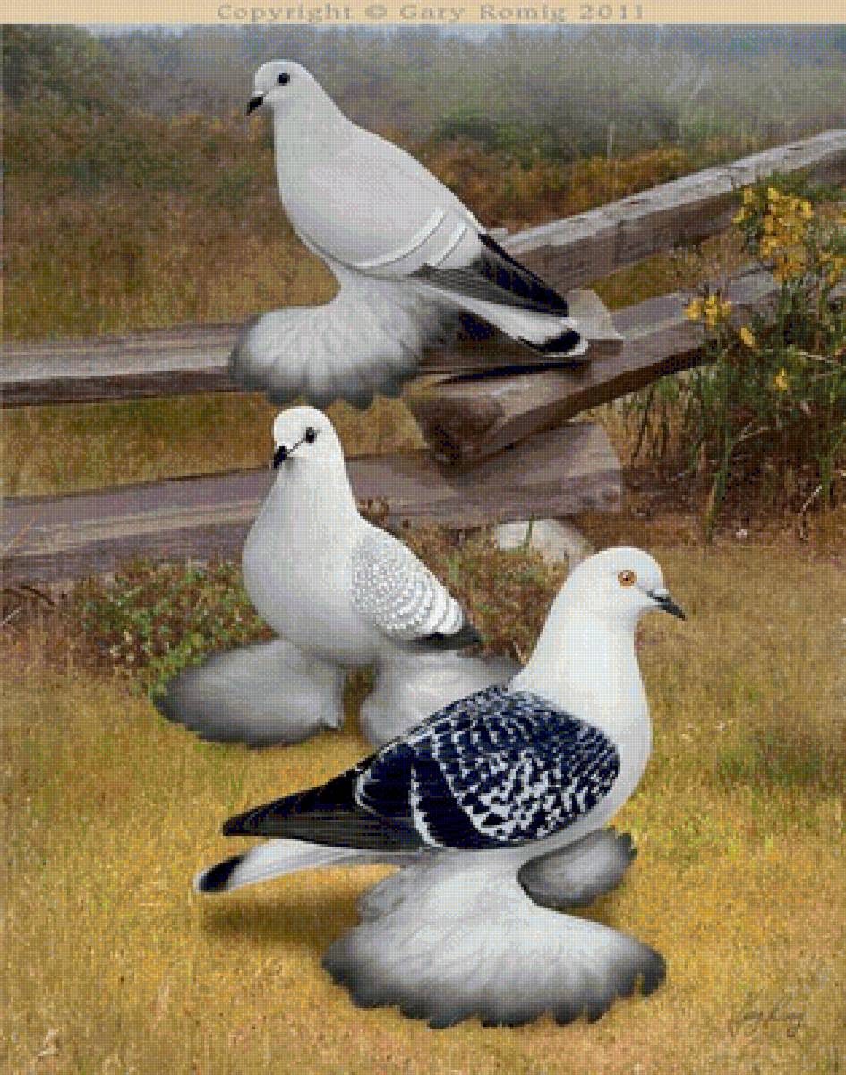 №1321871 - предпросмотр