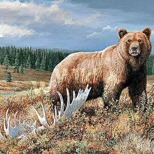 Схема вышивки «медведь»