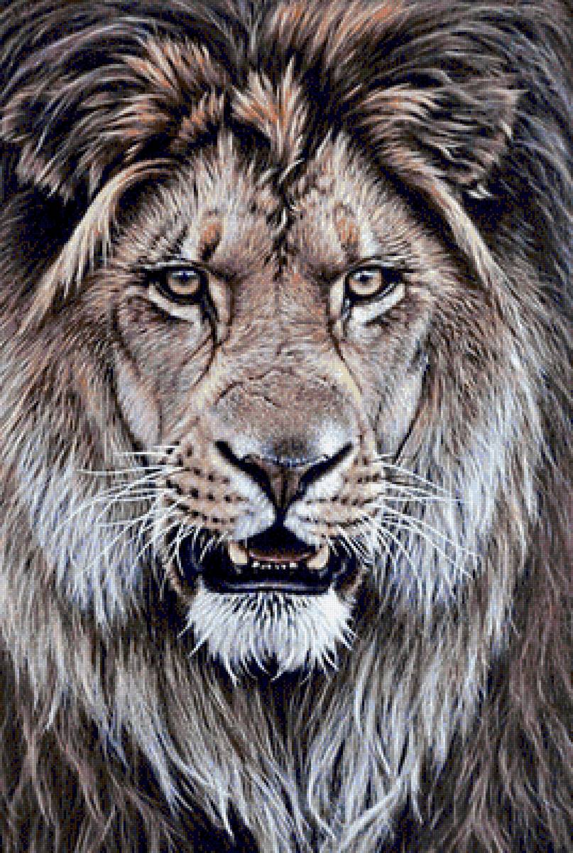 король-лев - лев, хищники - предпросмотр