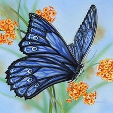 Схема вышивки «Бабочка»