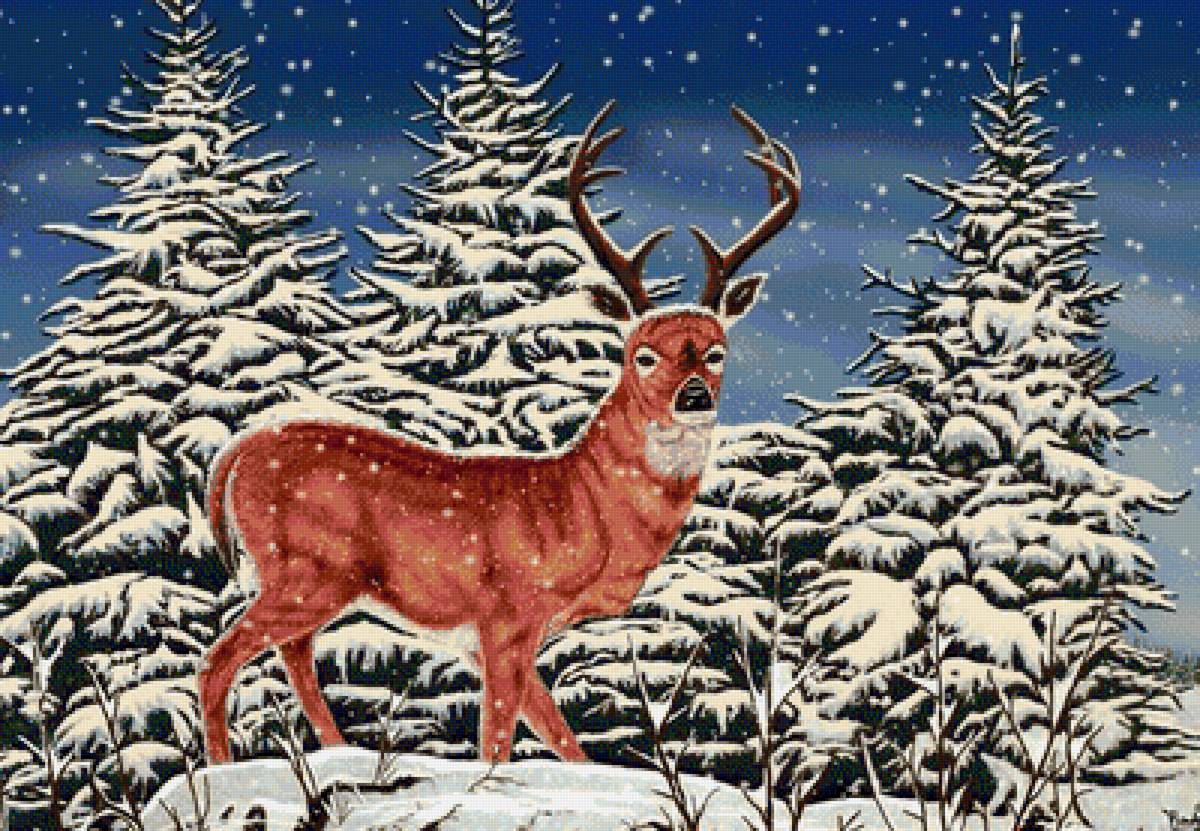 Олень - животные - предпросмотр