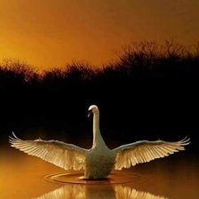 Схема вышивки «Лебедь»