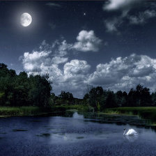 лебедь и луна