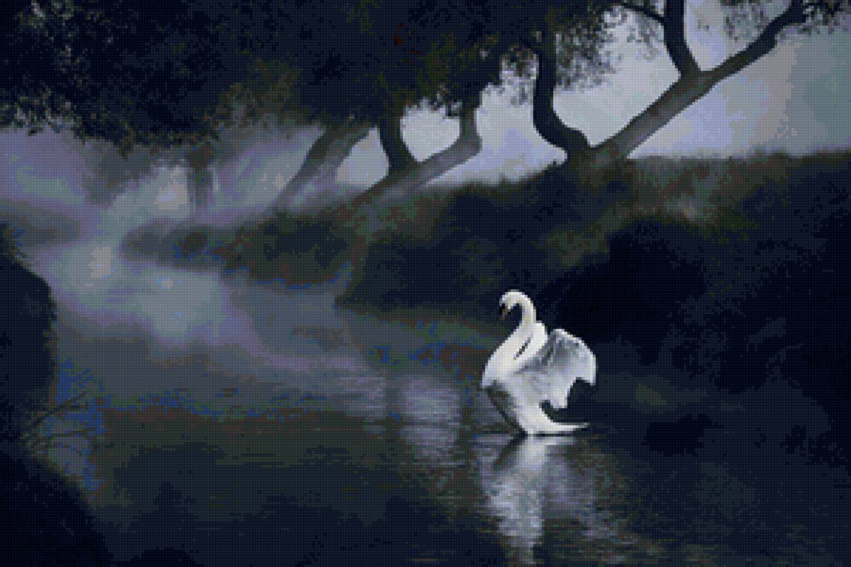 Лебедь - лебедь, туман - предпросмотр