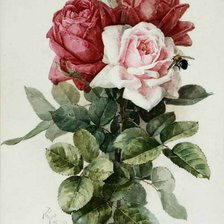 Схема вышивки «Поль де Лонгпре»