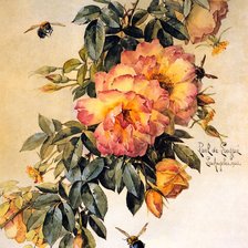 Схема вышивки «Поль де Лонгпре»